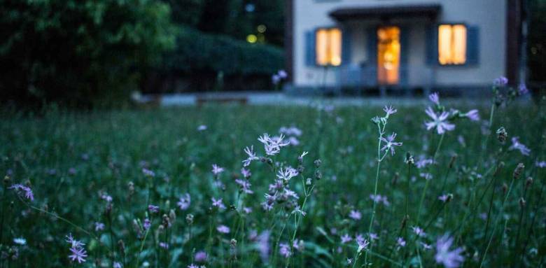 Maison dans un jardin fleuri 