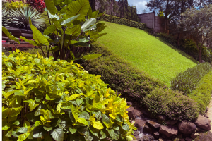 Aménager jardin en pente Haguenau