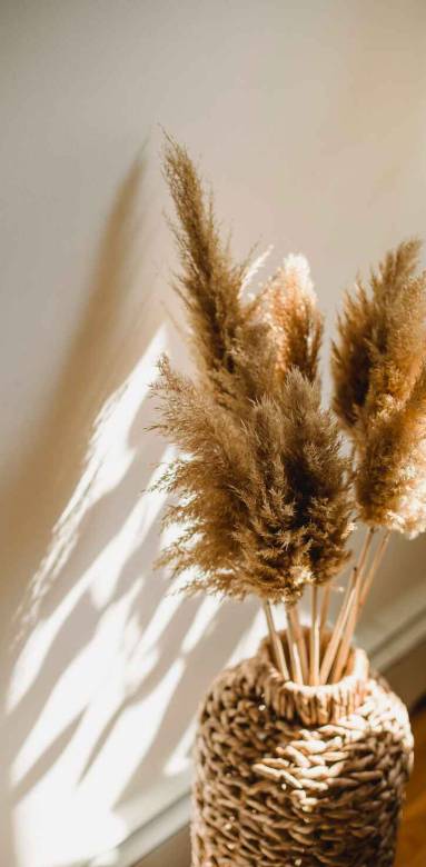 quelles sont les tendances en décoration d'intérieur