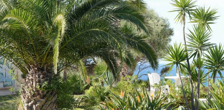 création oasis jardin