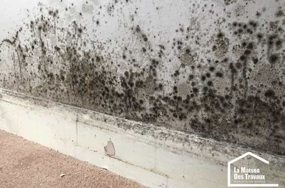 Traces d'humidité et de moisissures