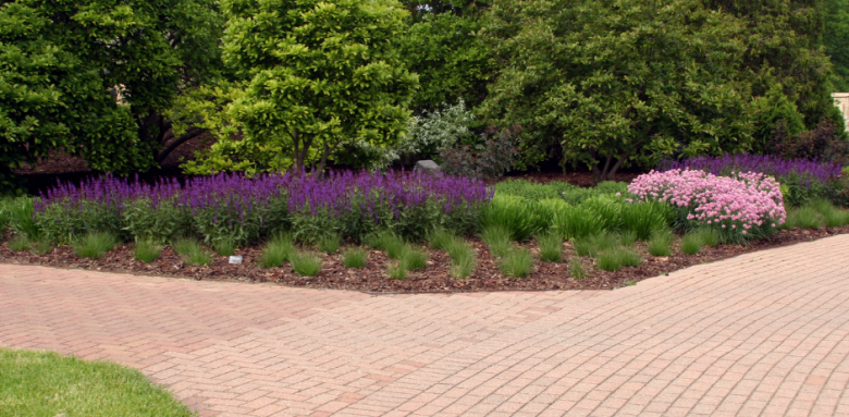 Allée carrossable Haguenau