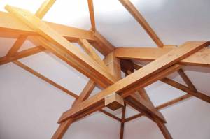 la mérule champignon à haut risque 