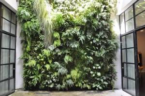 mur vegetal Hyeres