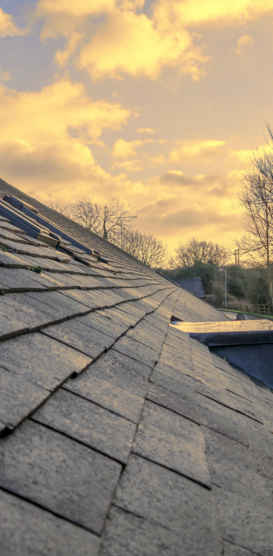 Rénovation et traitement de charpente Bruz