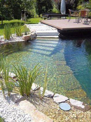 Piscine naturelle - Bouc-Bel-Air 13