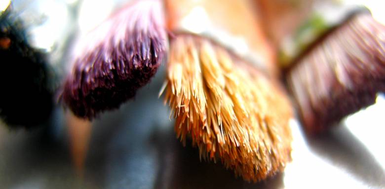 Réparer ou masquer un plafond qui se fissure