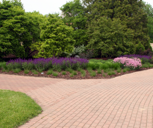 Allée carrossable Haguenau