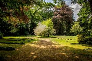Arbres