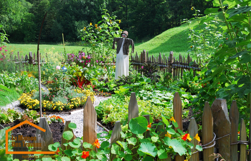 potager en planche