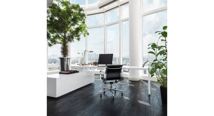 Comment apporter de la lumière naturelle à un bureau sans fenêtre ? - Saint-Aubin-des-Préaux 50380