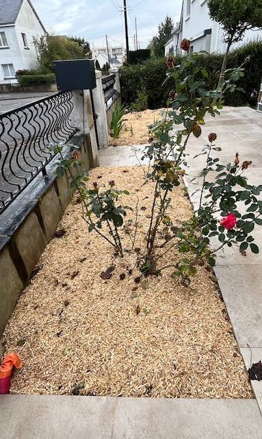 Aménagement d'un jardin sec - Nantes 44