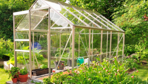 serre de jardin 