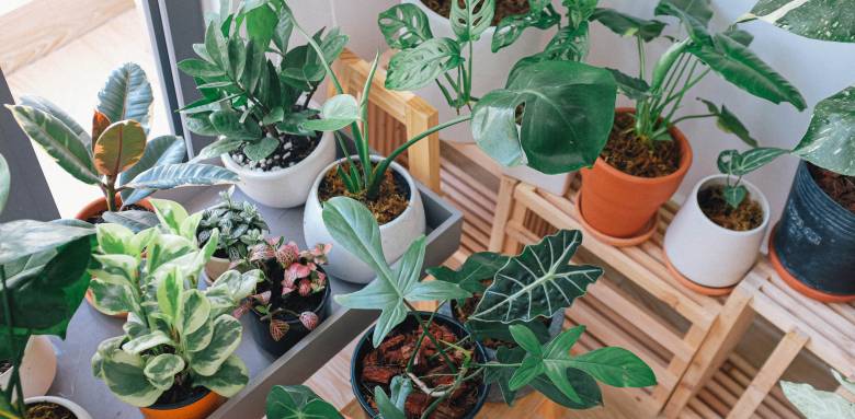 Comment installer une serre de jardin ?