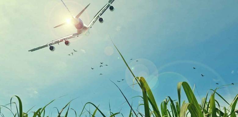 Isolation phonique maison 