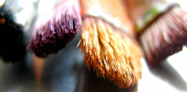 Repeindre son appartement à Boulogne Billancourt 