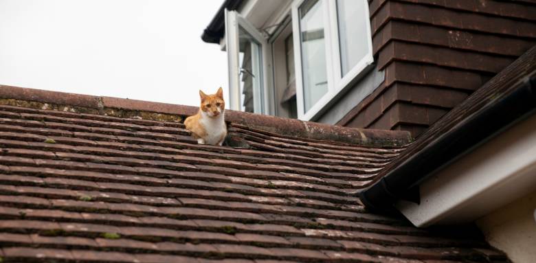 Rénovation de toiture : quand faut-il y penser ?