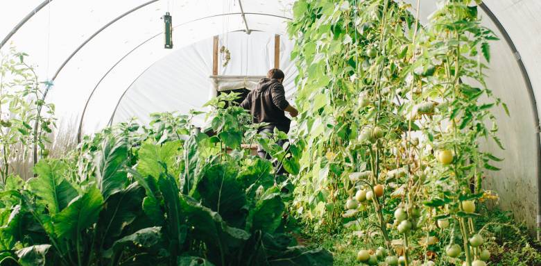 rénover serre de jardin morlaix