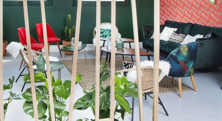 local professionnel chaleureux