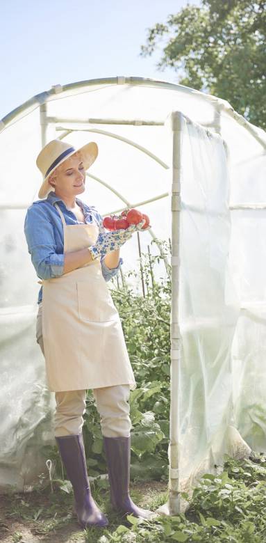 Installation d'une serre de jardin tubulaire en plastique - Cholet 49