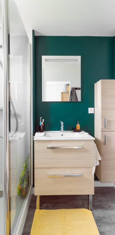 Mur de salle de bain peint en vert sapin - bouc-bel-air-13