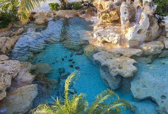 Construction de piscine lagon avec rochers ornementaux - Valence 26