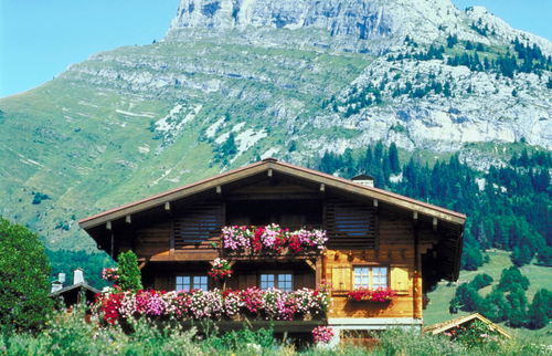 Chalet en bois, printemps 