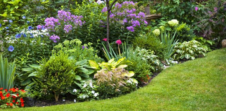 massifs fleurs jardin