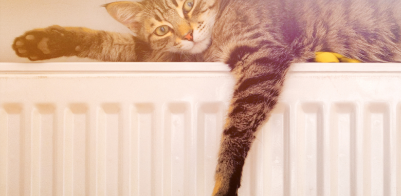 Radiateur à inertie