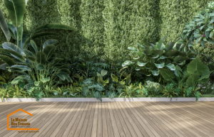 Terrasse avec plantes botanique