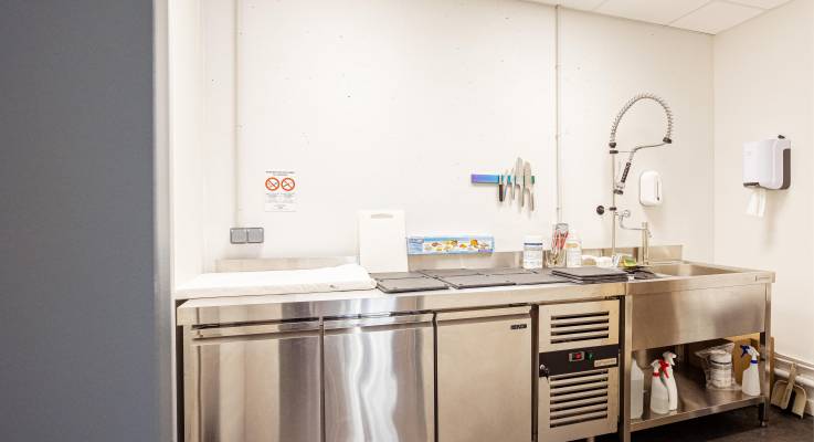 Cuisine professionnelle
