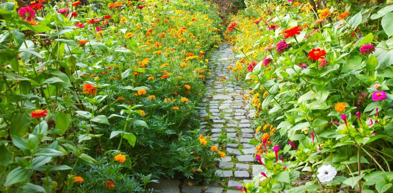 Aménagement de jardin écologique fleuri - Nantes 44