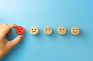 information sur le mérule , Nevers 