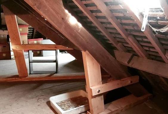  Renforcement charpente Arras