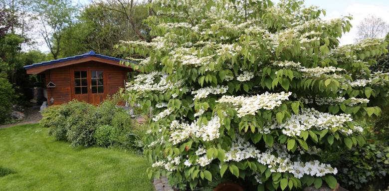 Cabane de jardin