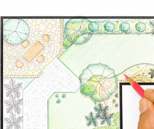 Etapes pour rénover un jardin Amiens