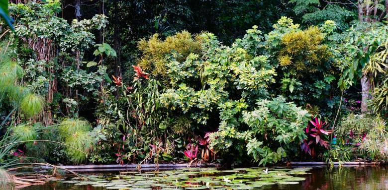creation oasis jardin, oasis conseil jardin, oasis biodiversité création, oasis tendance idee, etape creation oasis jardin, oasis jardin verdure