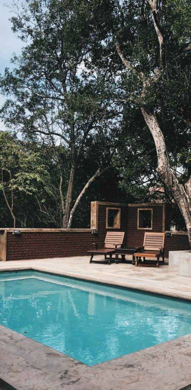 Une piscine dans un jardin provençal 