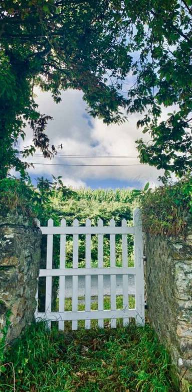 portillon en bois
