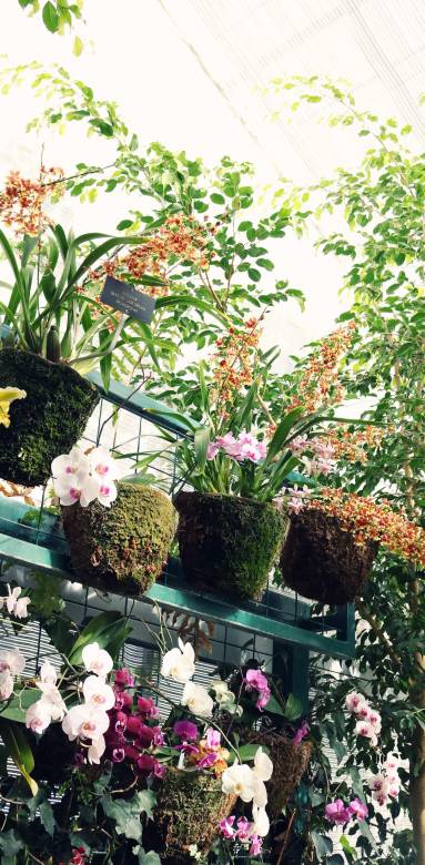 Rénovation de jardin