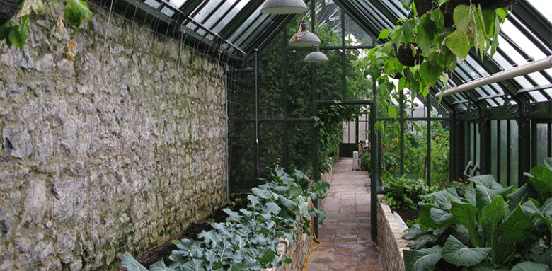 Jardin d'hiver