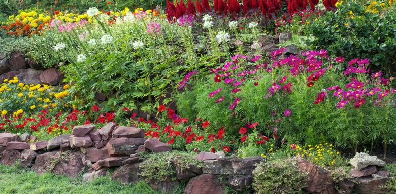 Rénovation de jardin avec plantations de fleurs et maçonnerie paysagère - Valence 26