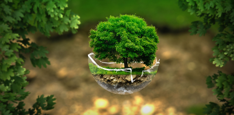 Isolation écologique : des solutions durables pour votre maison - Avranches 50300