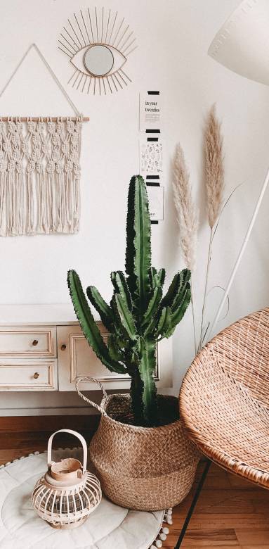 Rénovation travaux maison Royan