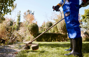 entretenir son jardin