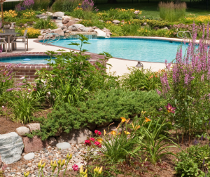 Créer un oasis dans son jardin à Montbrison (42 600)