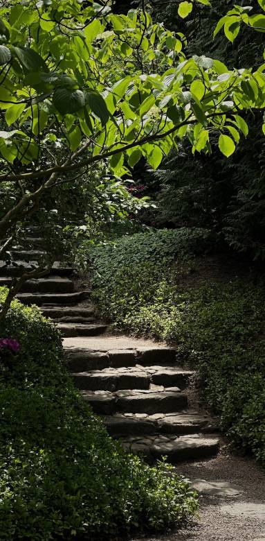 Ces jolis escaliers donnent du charme au jardin et permettent d'accéder au niveau supérieur