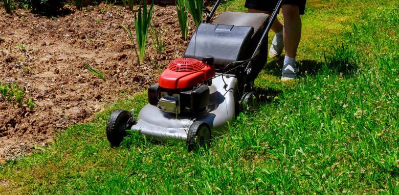 aménagement extérieur - Aix-les-Bains (73)  