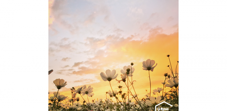 Décorer son intérieur pour le printemps - Bréville-sur-Mer 50290
