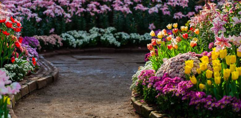 Allée de jardin fleurie